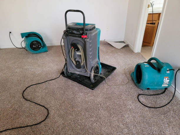 Best Water damage restoration mold remediation  in Pine Ridge, SD