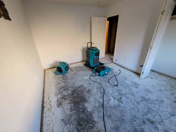 Reliable SD Water damage restoration Solutions