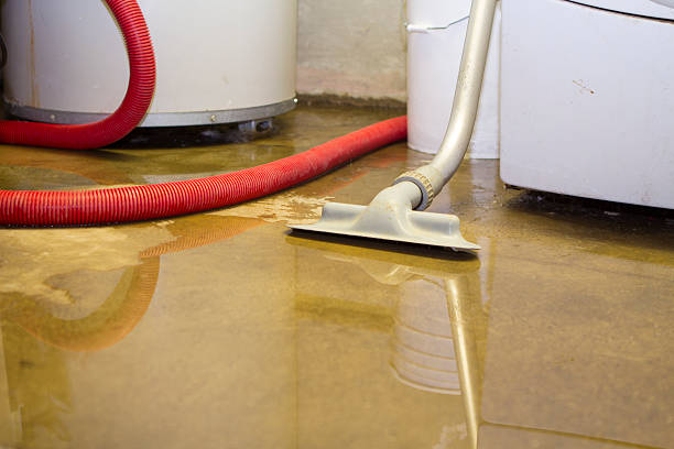  Pine Ridge, SD Water damage restoration Pros