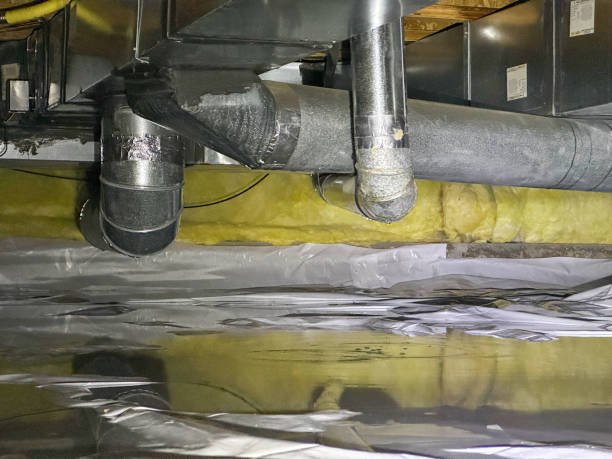Best Water damage restoration near me  in Pine Ridge, SD