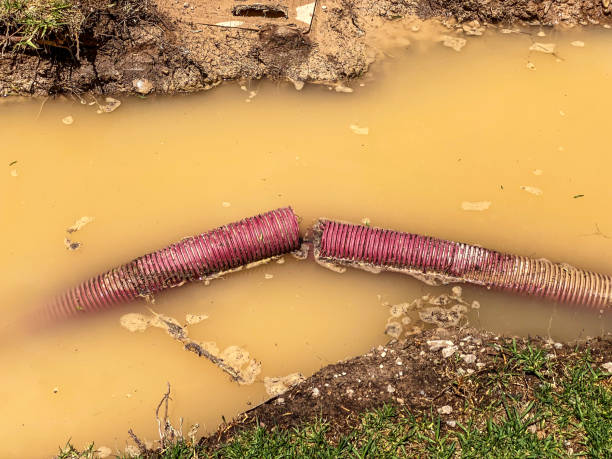 Best Water damage contractors near me  in Pine Ridge, SD