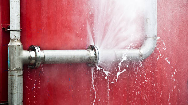 Best Water damage restoration near me  in Pine Ridge, SD