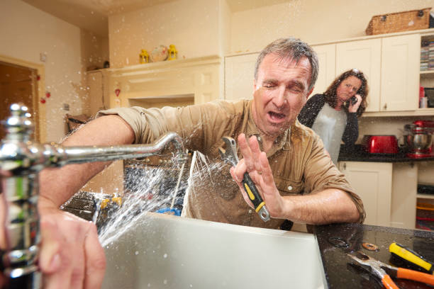 Best Water damage contractors near me  in Pine Ridge, SD